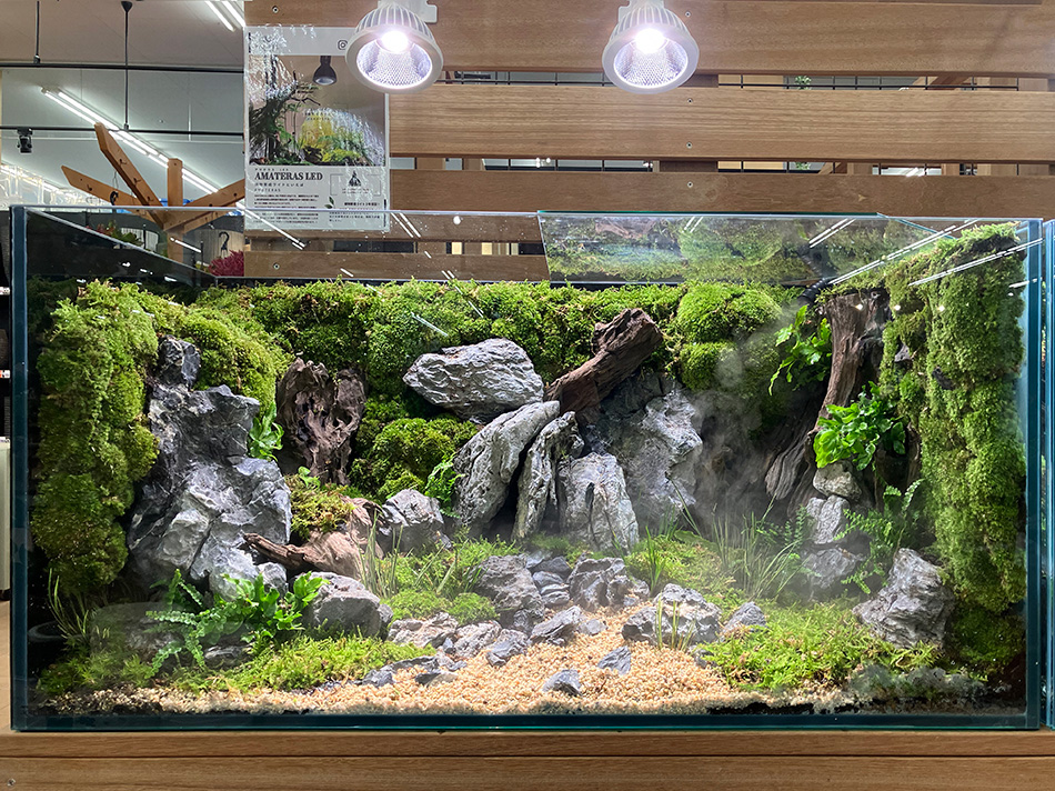 ADA 龍王石、山谷石 ほか 3[新品 XL付]清流石20キロ☆水槽