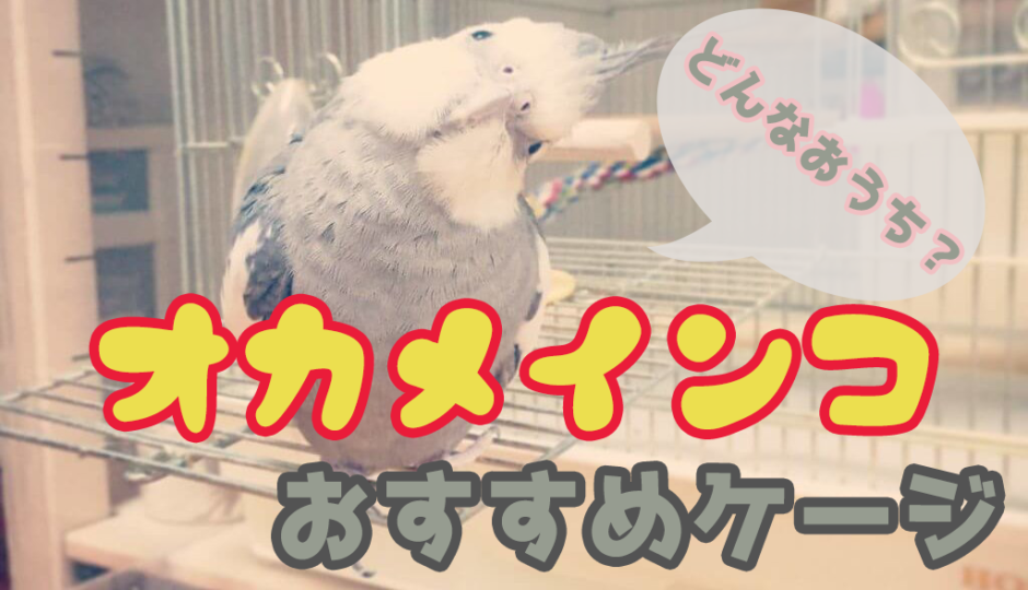 オカメインコに最もおすすめなケージ【HOEI 465オカメステンレス