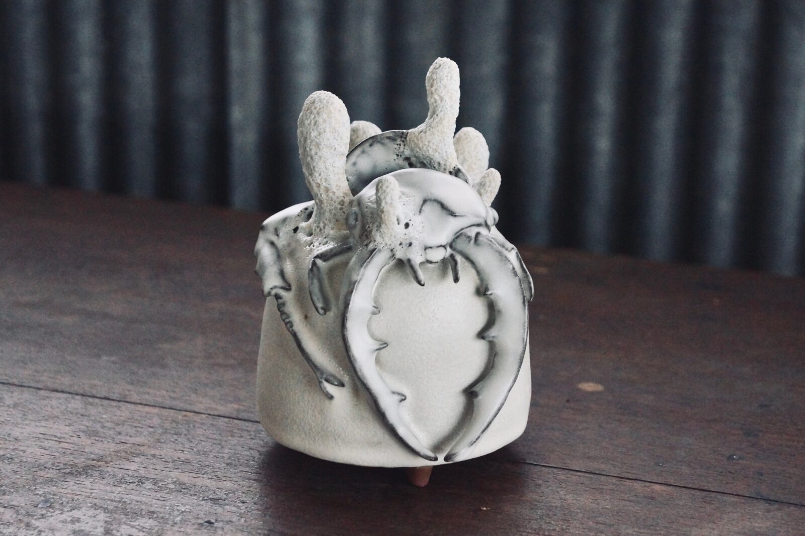 陶蟲夏草】新たな作品が入荷しました | 蟲と焼菓子 昆蟲菓舗 灯螂舎