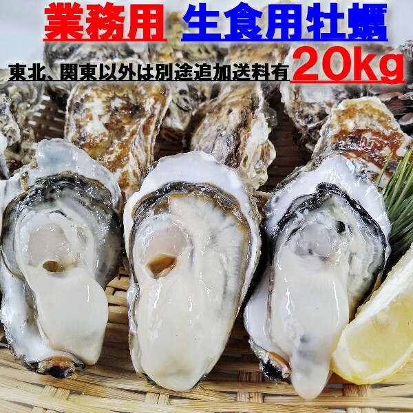楽天市場】【10%OFFクーポン有】牡蠣 殻付き 生牡蠣 「生食用 殻付き