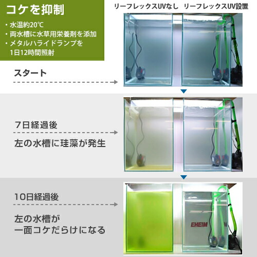 楽天市場】エーハイム リーフレックスUV殺菌灯 500 (適合水量300〜500L
