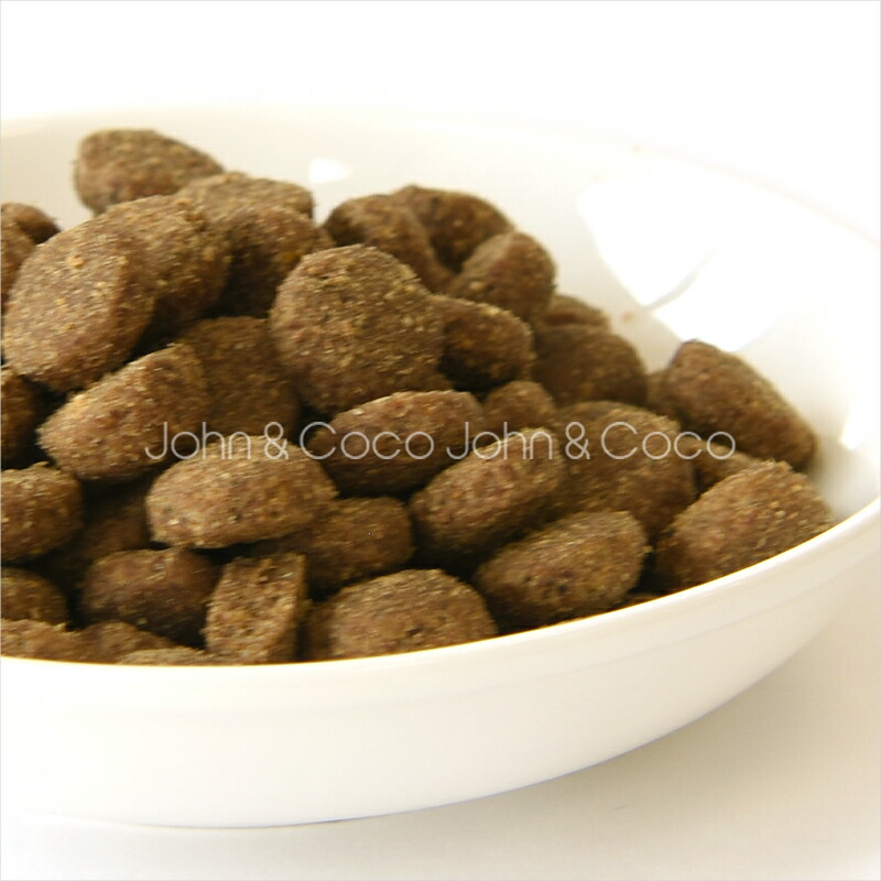 楽天市場】ゴー DOG 消化＋腸の健康ケア サーモン 9.98kg 犬