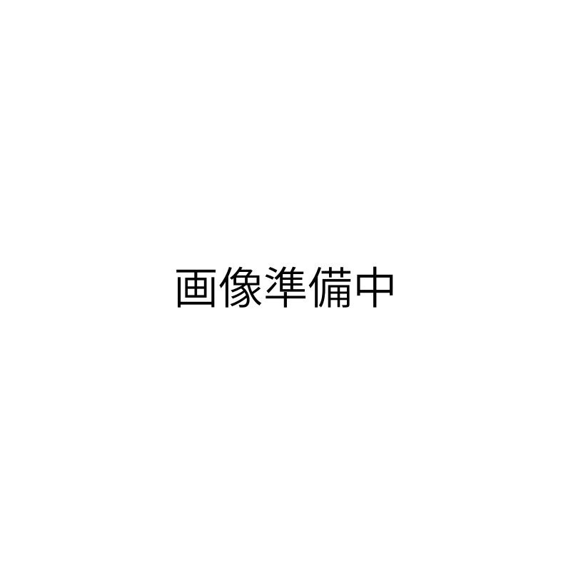 YAMANシャインプロ HC-21 2025/6購入 楽天市場】超音波 アイロン