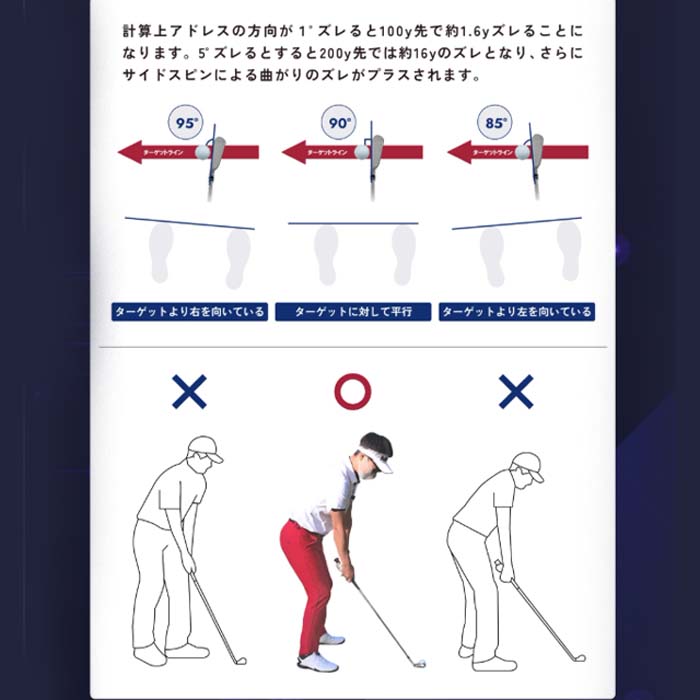 楽天市場】LYNX リンクス xVic Aiming View エイミングビュー 最先端AI