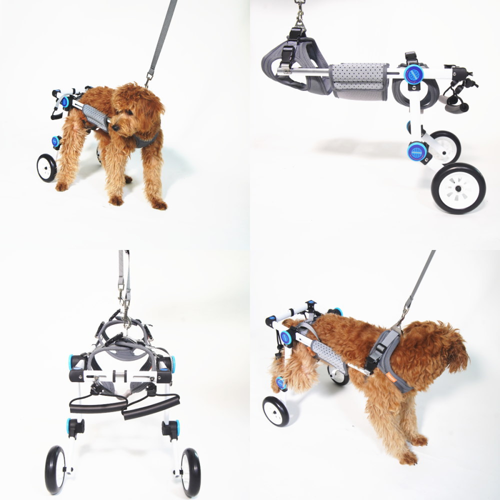 楽天市場】ペット 車椅子 2輪 小型犬 後脚サポート 介護ハーネスセット
