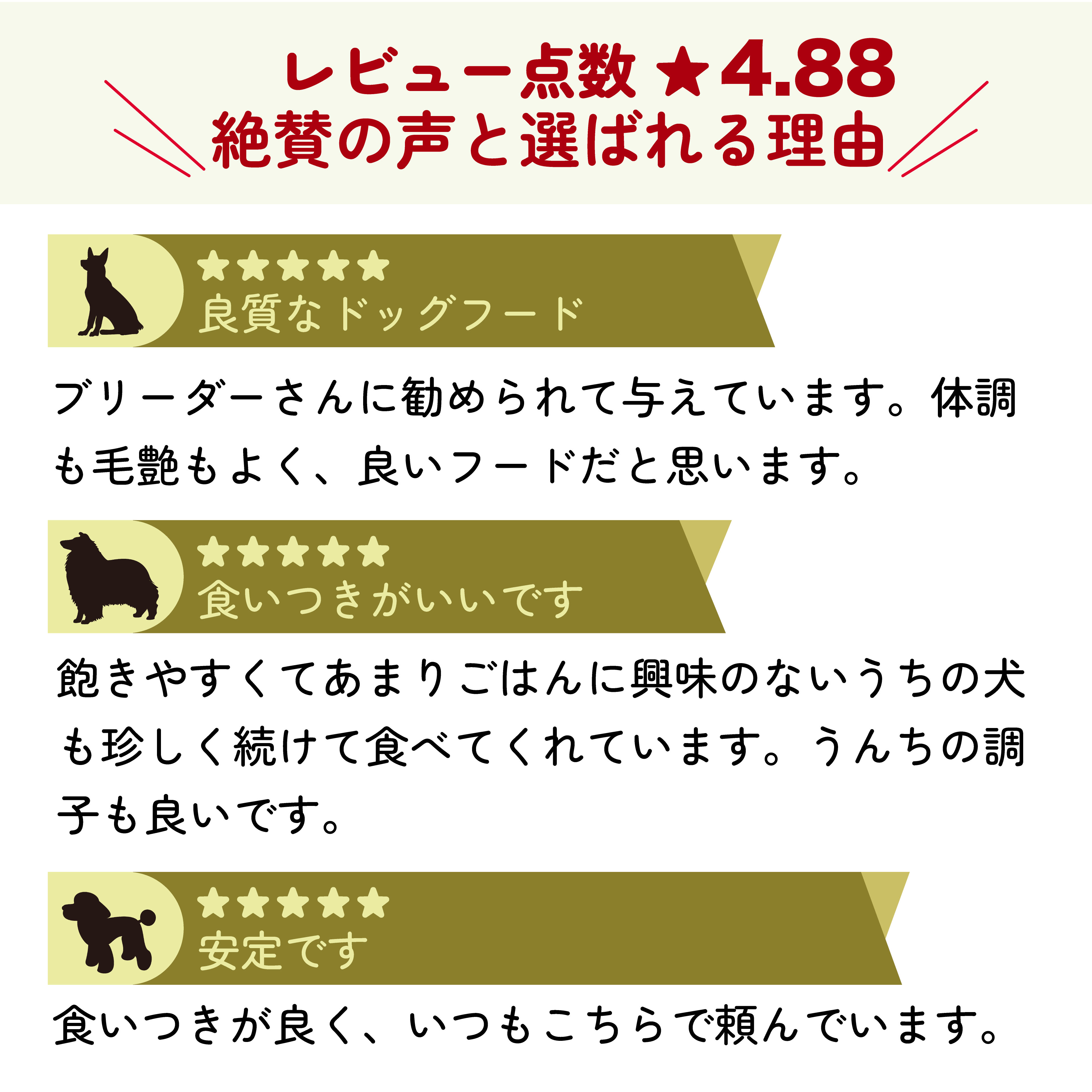 楽天市場】AZ アゼットドッグフード アダルト(成犬用) 10kg ブリーダー