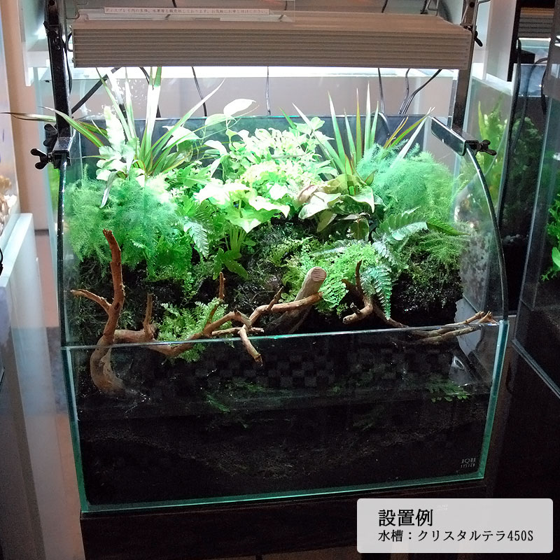 楽天市場】水槽 45cm ガラス水槽【45×30×20/35cm】クリスタルテラ450S