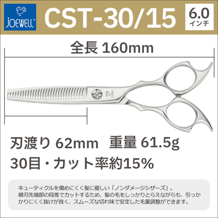 cst-3015-1.jpg