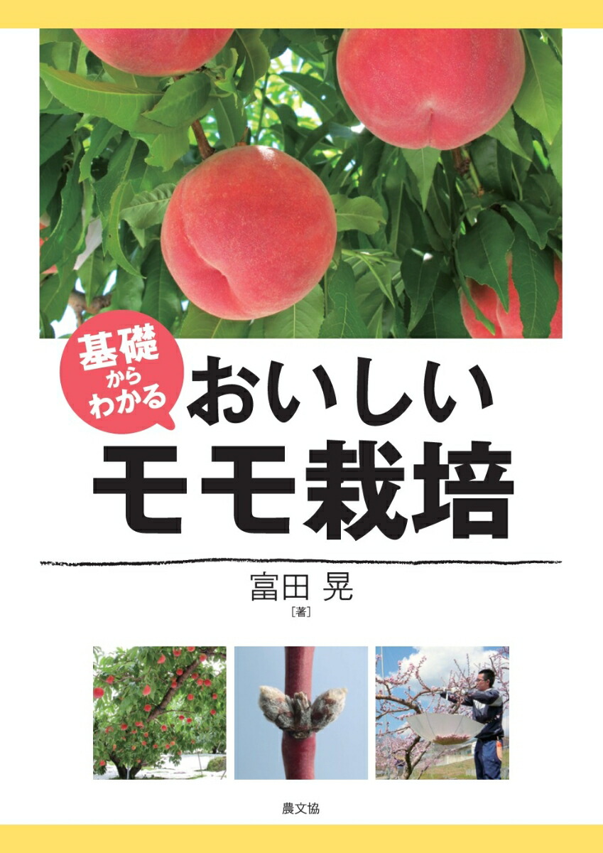 祝祭と暴力 スティールパンとカーニヴァルの文化政治 祝祭と暴力