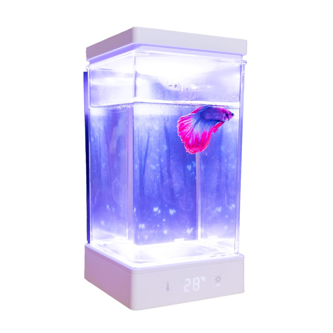 楽天市場】らくらく☆ベタ水槽 BETAβ1 新品 卓上 小型水槽 ベタ