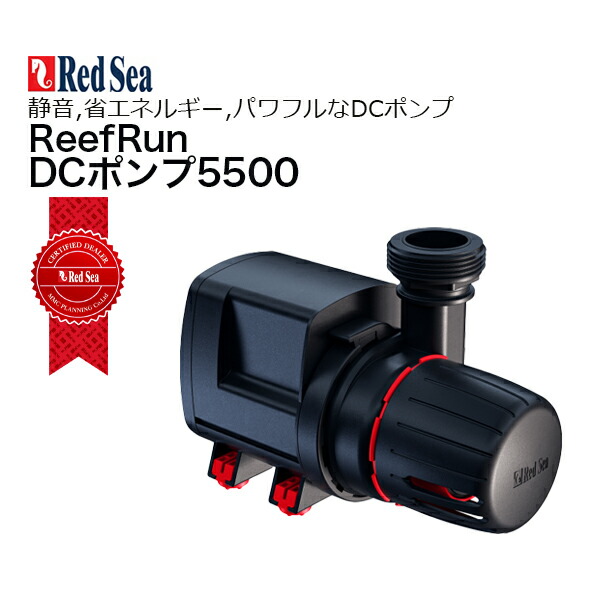 楽天市場】レイシー・たて型ポンプ P-425V : CEPPO WEB SHOP
