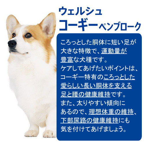 楽天市場】ドッグフード プロマネージ コーギー専用 成犬用 4kg×3