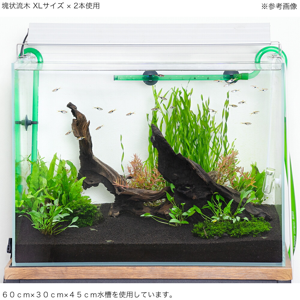 流木レイアウト 超大型 A862 流木レイアウト 超大型 A862
