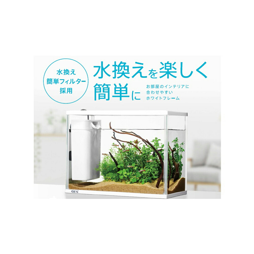 楽天市場】GEX 水槽セット ラクフィル 水換え簡単セット 300WH