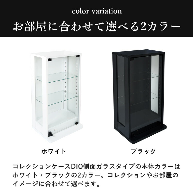 地球家具 コレクションラック 側面ガラス DIO ディオ ミドル ロー