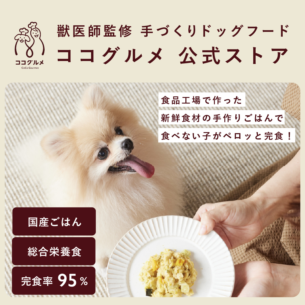 楽天市場】【クーポンで20%OFF】ココグルメ 手作りドッグフード 国産