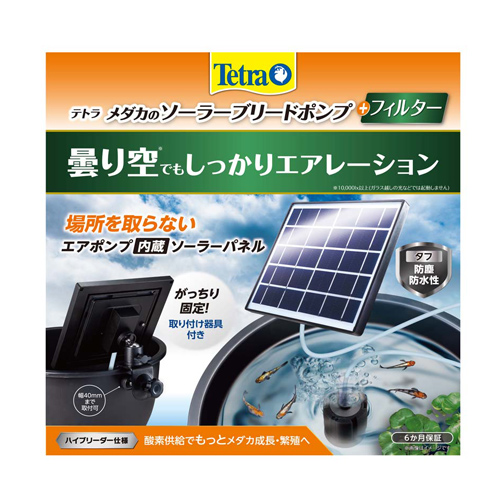 くろそら様専用 エアポンプ セット くろそら様専用 エアーポンプ