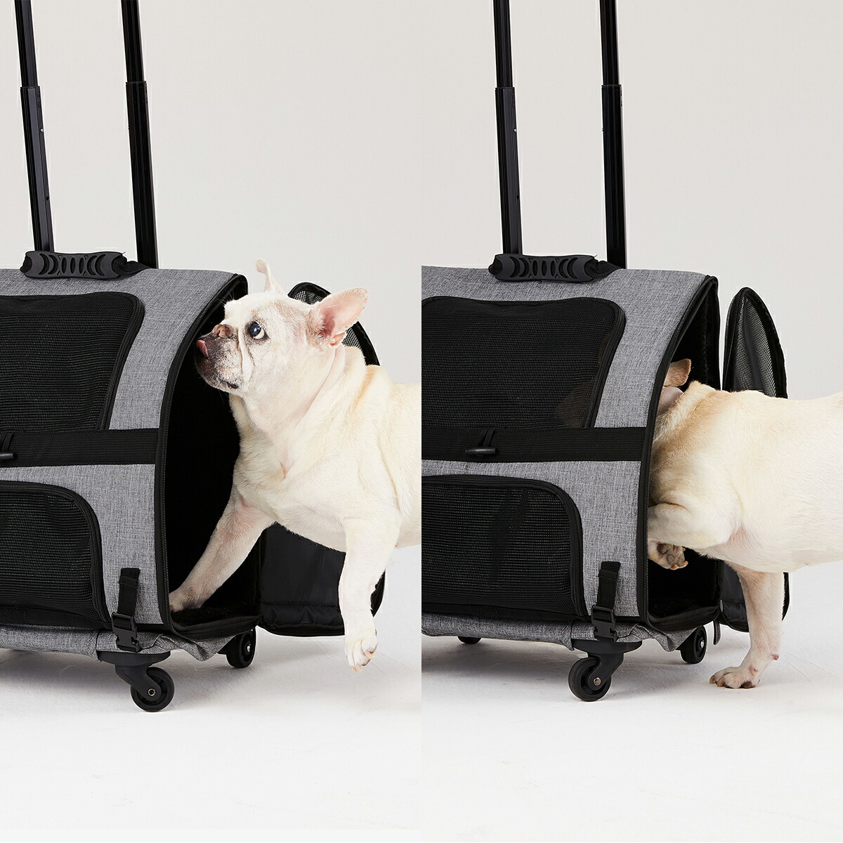 楽天市場】メーカー直営 エアバギーフィット 耐荷重10kg[公式直営