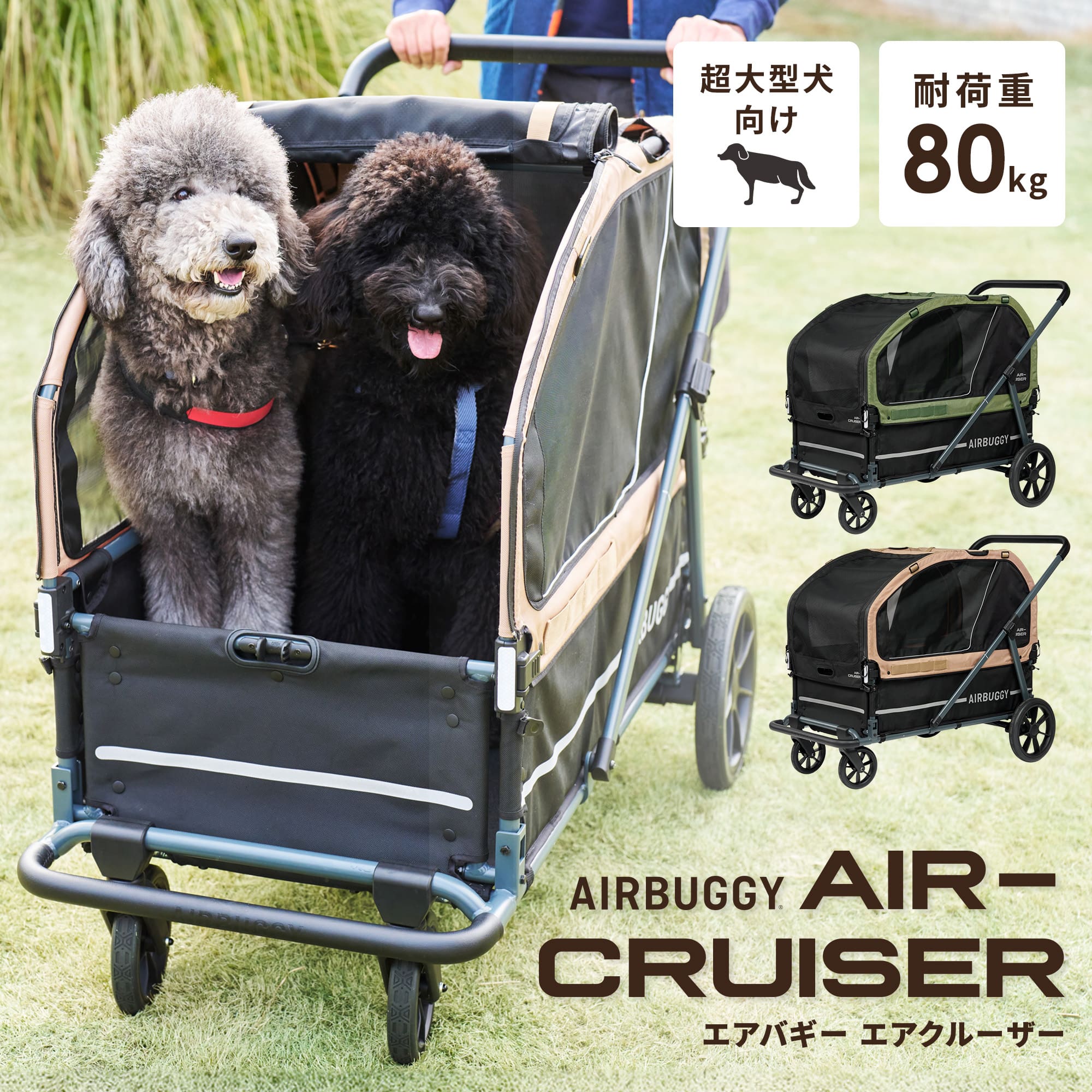 楽天市場】【公式】エアバギー エアクルーザー ベース・ルーフ 2点