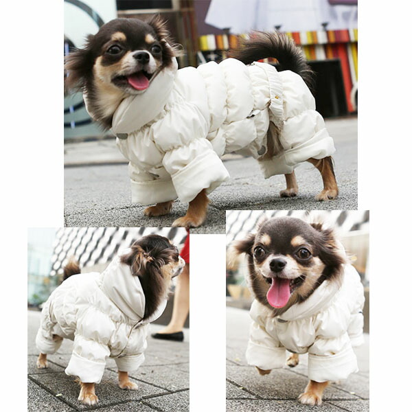 楽天市場】犬用 PAラグジュアリーFDJパデッドボディースーツ