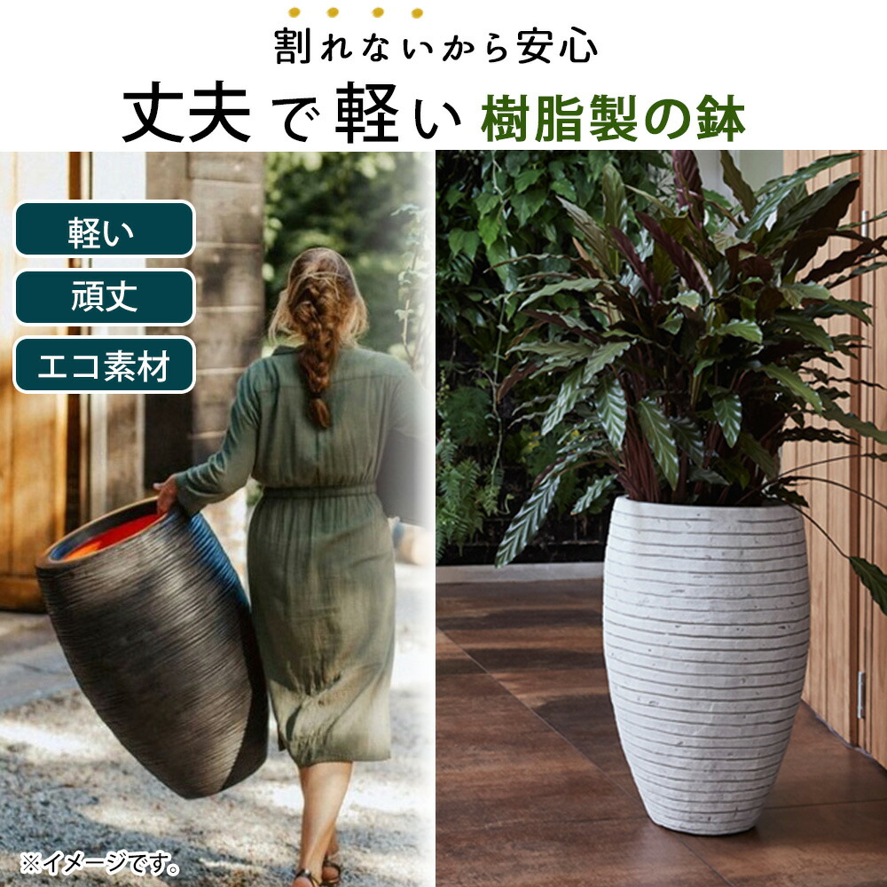 楽天市場】軽量 植木鉢 高さ60cm 縦長 背の高い 深い 深鉢 長鉢 縦長