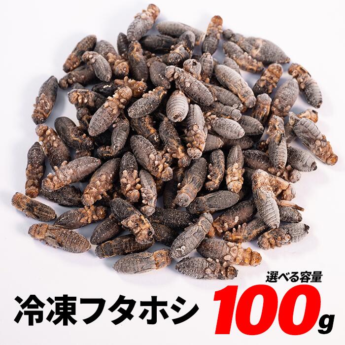 送料無料 冷凍イエコML〜L1キロ 楽天市場】冷凍コオロギ ML 100g 300g