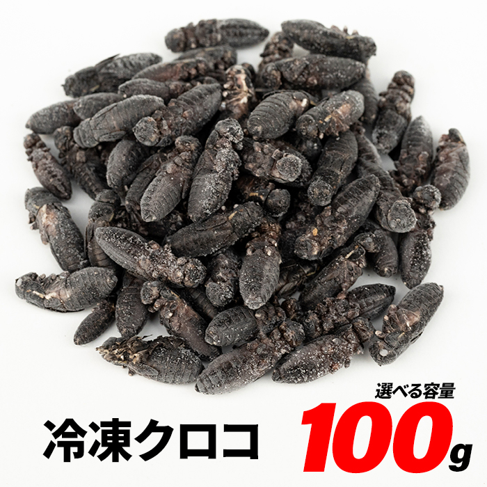 特価 訳アリ 冷凍コオロギ 約3キロ 袋入り 特価 訳アリ 冷凍コオロギ