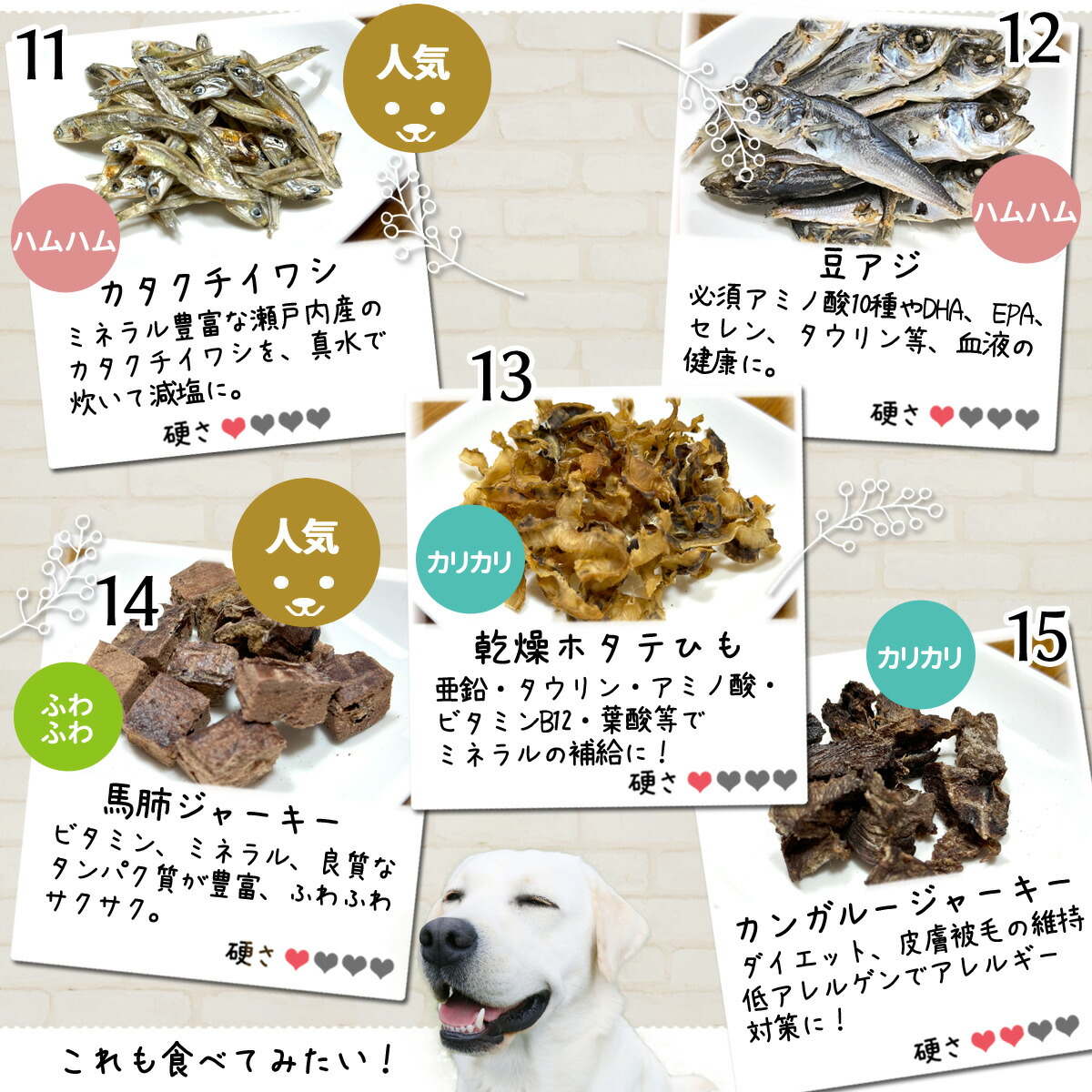楽天市場】犬 おやつ 無添加 国産 選べる5個セット どっぐふーどる