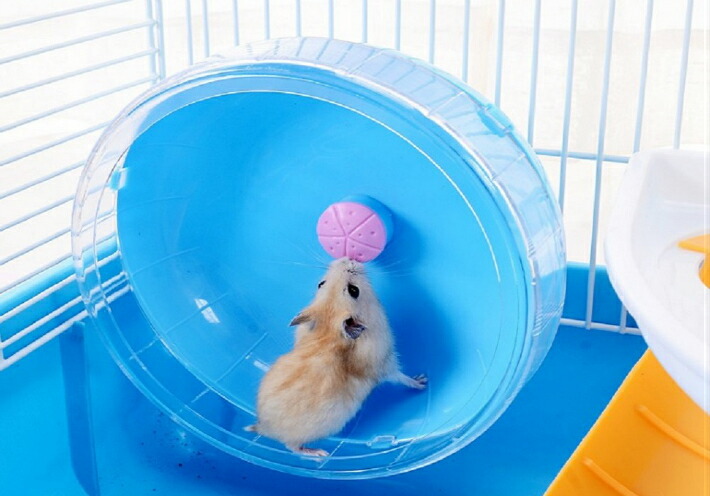 大型ハムスターケージ 17ピースセット ハムスターケージ 大型」の人気