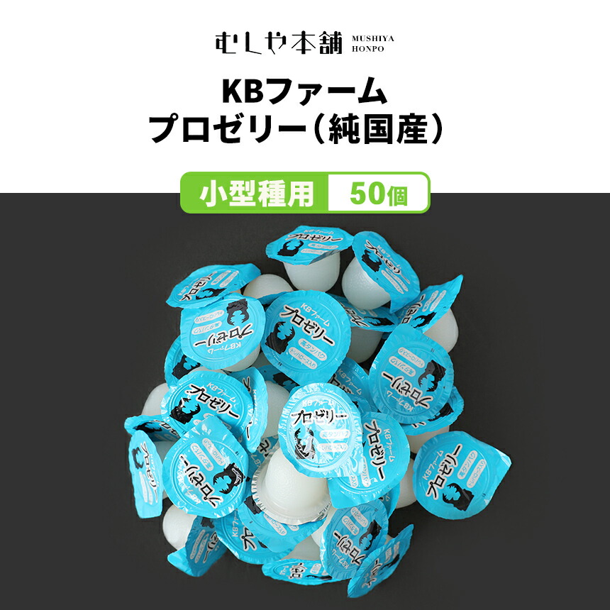 楽天市場】むしや本舗 食いつき抜群! プロゼリー（KBファーム社製）純