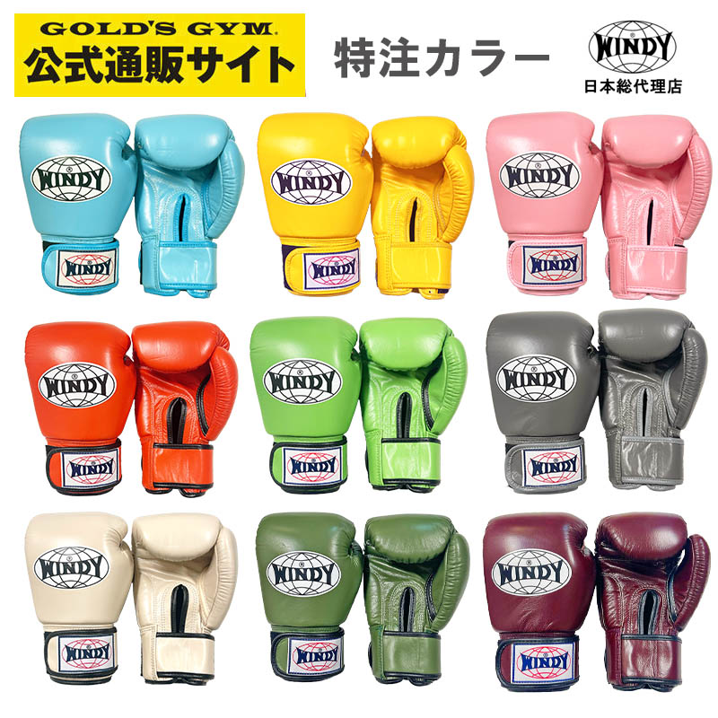 楽天市場】【日本総代理店】特注カラーWINDY(ウィンディ) BGVH