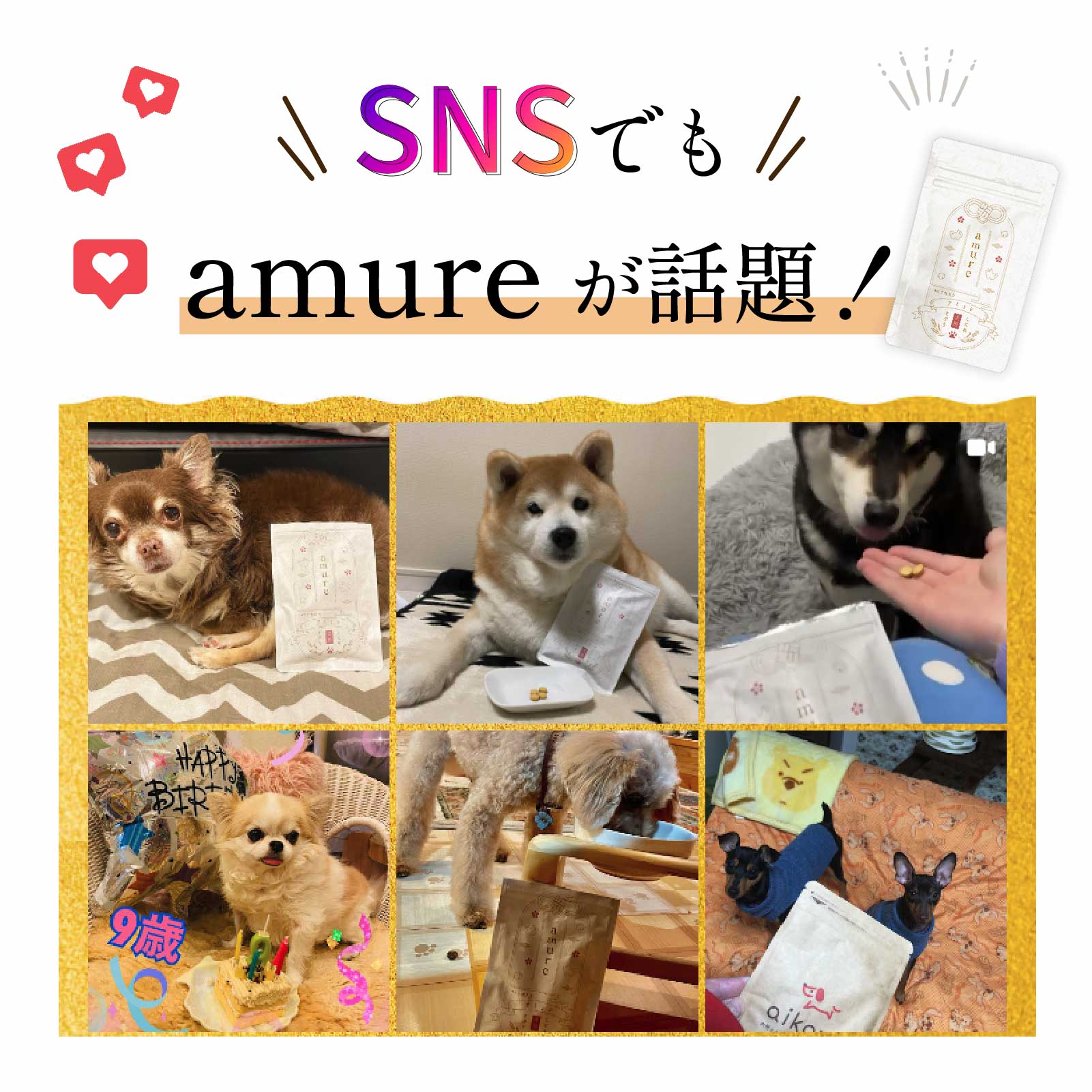 amure 300mg×60粒 【4袋】サプリメント犬用 楽天市場】【エントリーで