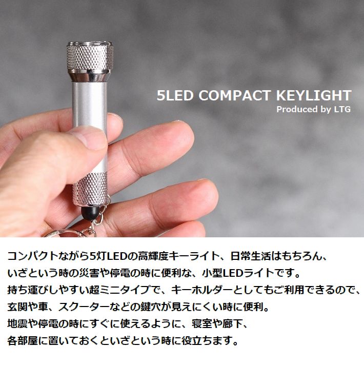 当選品 WISH LEDライト キーホルダー? 当選品 WISH LEDライト