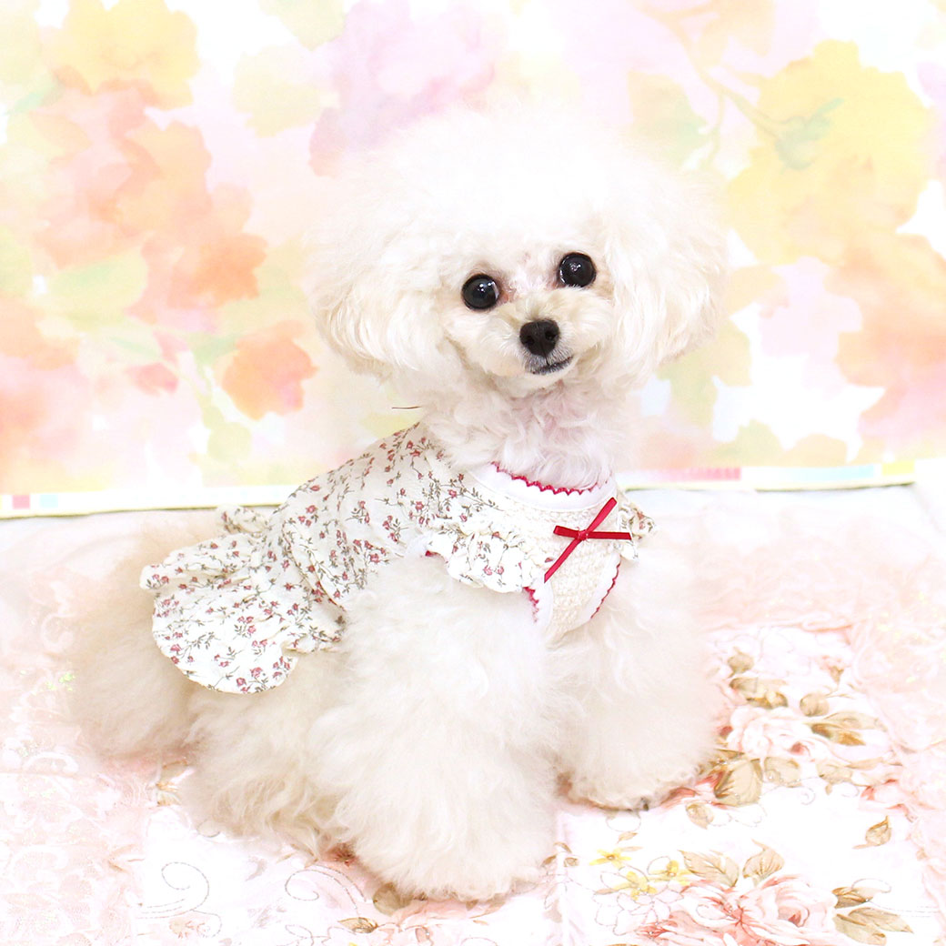 ボアタンク 裏地花柄付 犬服 ハンドメイド