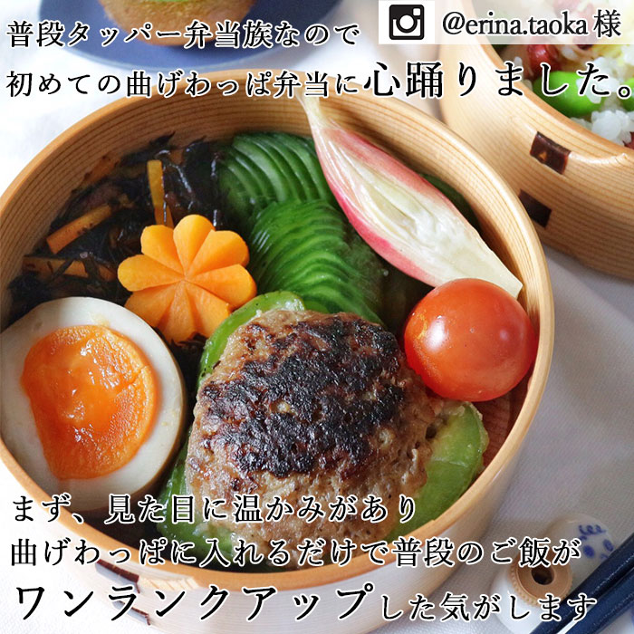 値下げ【新品】レア品 伝統工芸品丸三段竹の子重 曲げわっぱ 大館工芸