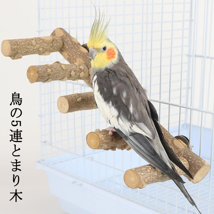 楽天市場】鳥用 5連 とまり木 天然木 鳥スタンド ステップ 階段 インコ
