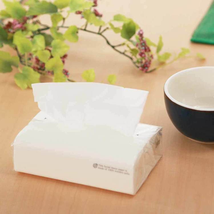 楽天市場】アストソフトパックてんとう虫（タンポポ）200W10P 112036