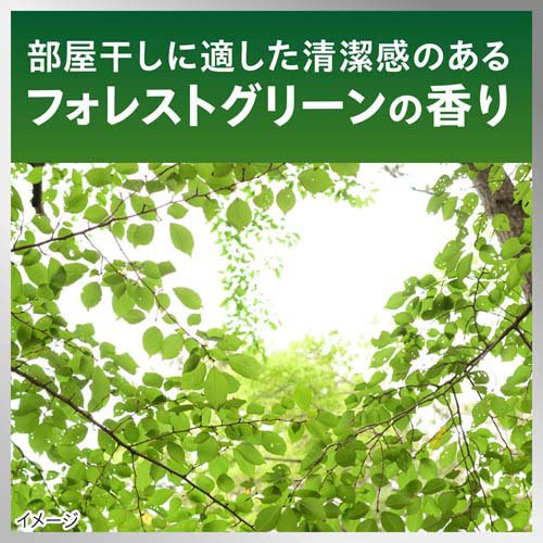 楽天市場】ナノックスワン 部屋干し フォレストグリーンの香り
