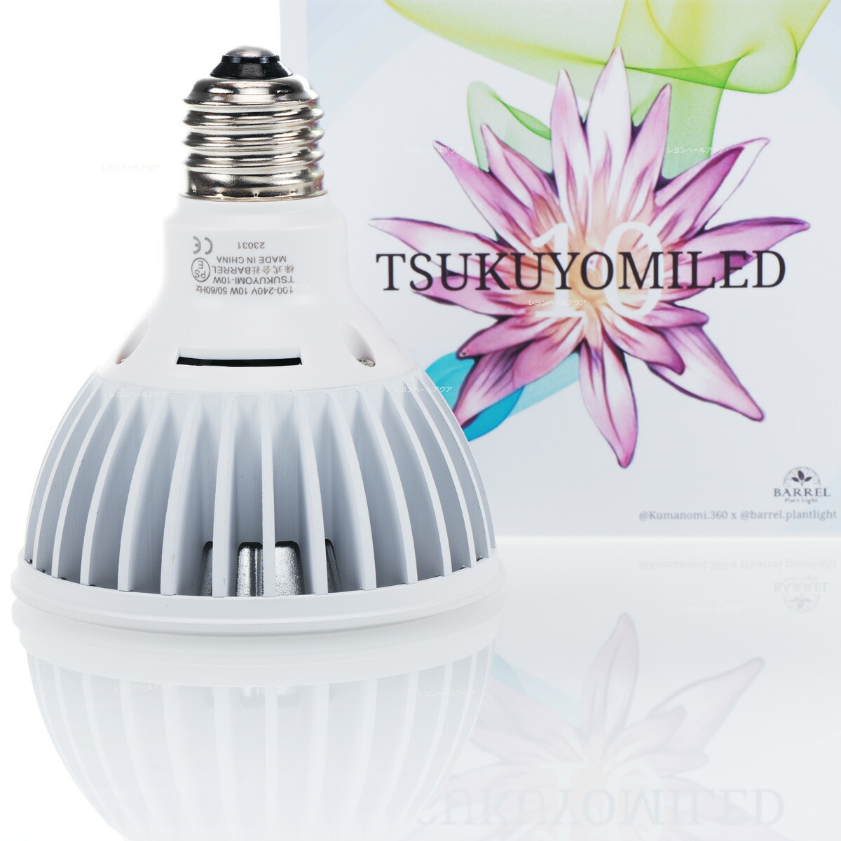 BARREL バレル ツクヨミ10W ゴールド 2個セット BARREL TSUKUYOMI 10W