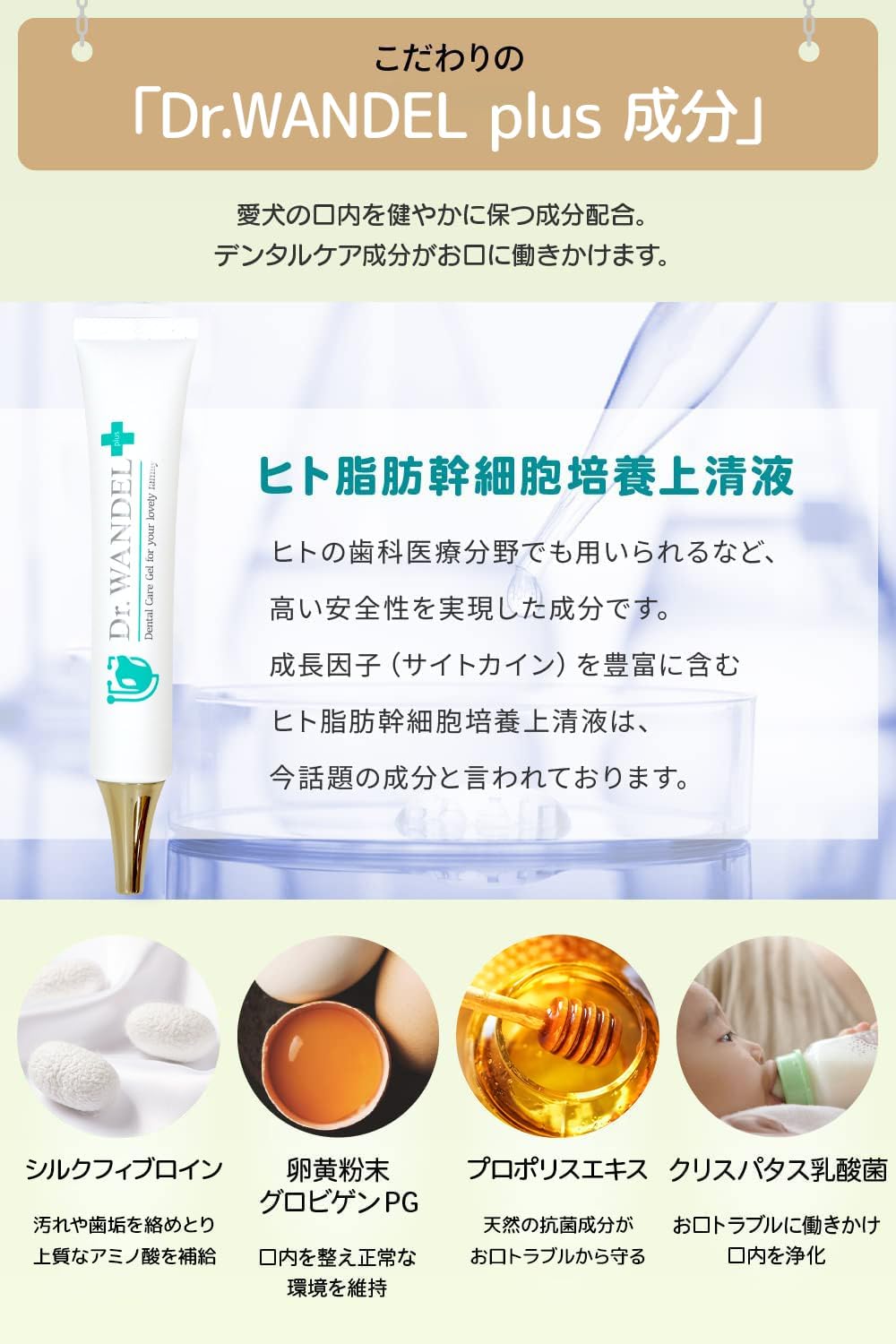 楽天市場】【公式】Dr.wandel plus ドクターワンデルプラス 30g 1本 約