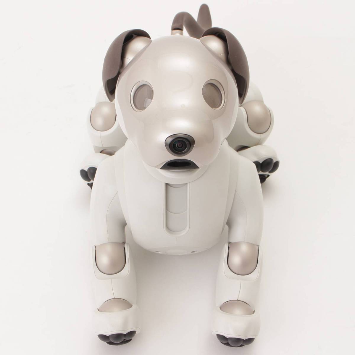 楽天市場】【ソニー】SONY アイボ aibo 犬 ペットロボット ERS-1000