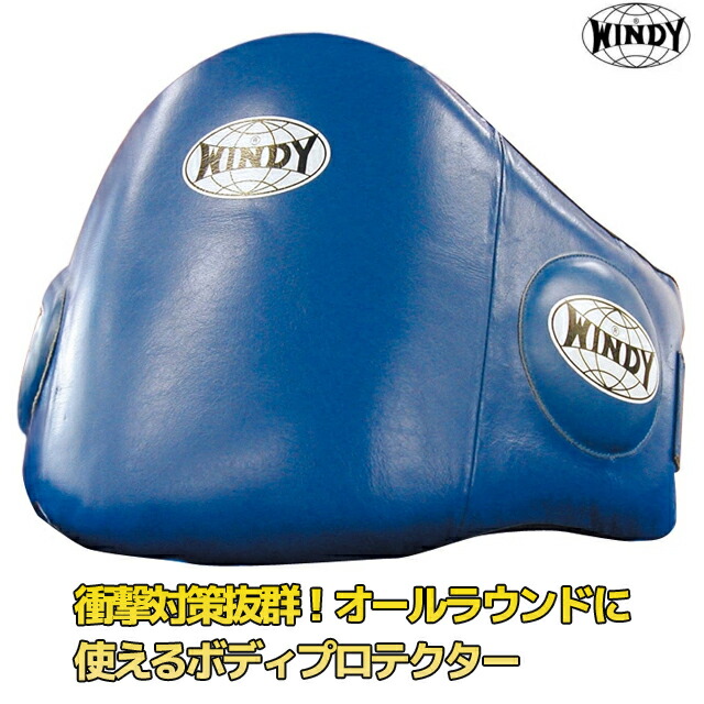 楽天市場】【日本総代理店】WINDY(ウィンディ) BLPV ベリー