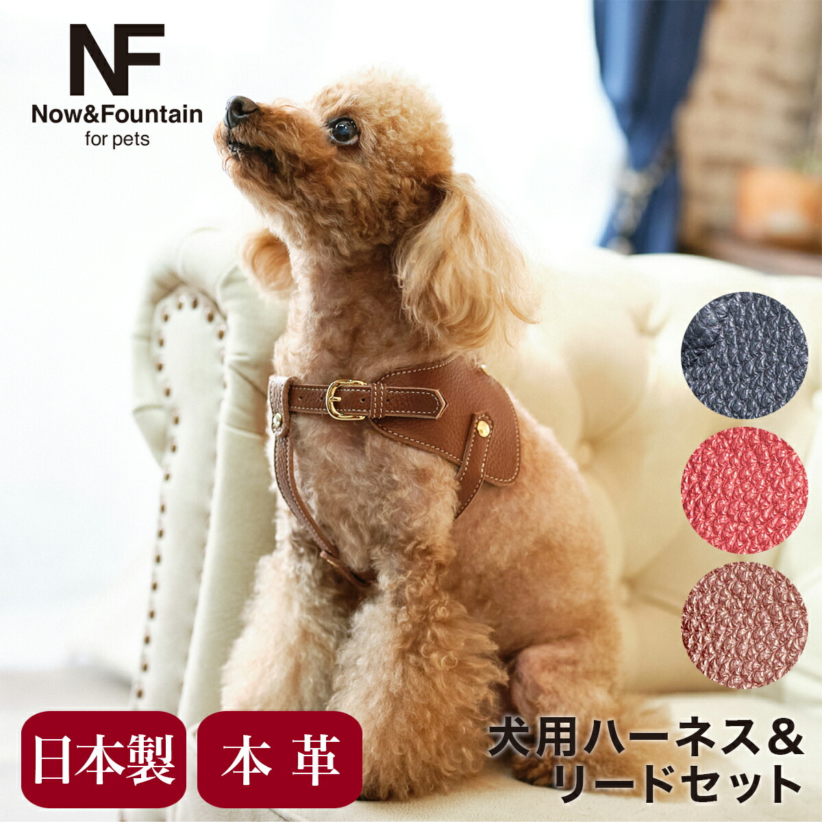 楽天市場】エヌアンドエフ ペット ハーネス＆リードセット 小型犬
