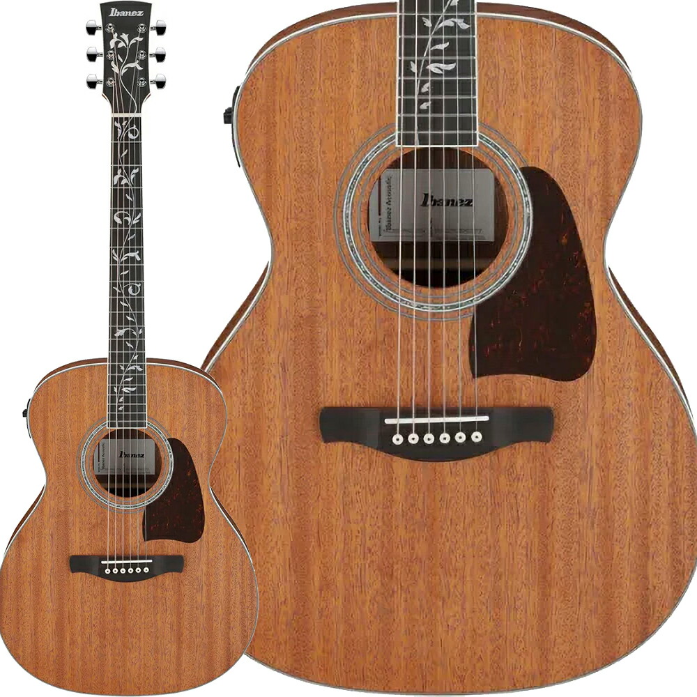 Ibanez アコースティックギター ブラウン ギターケース付き 楽天市場