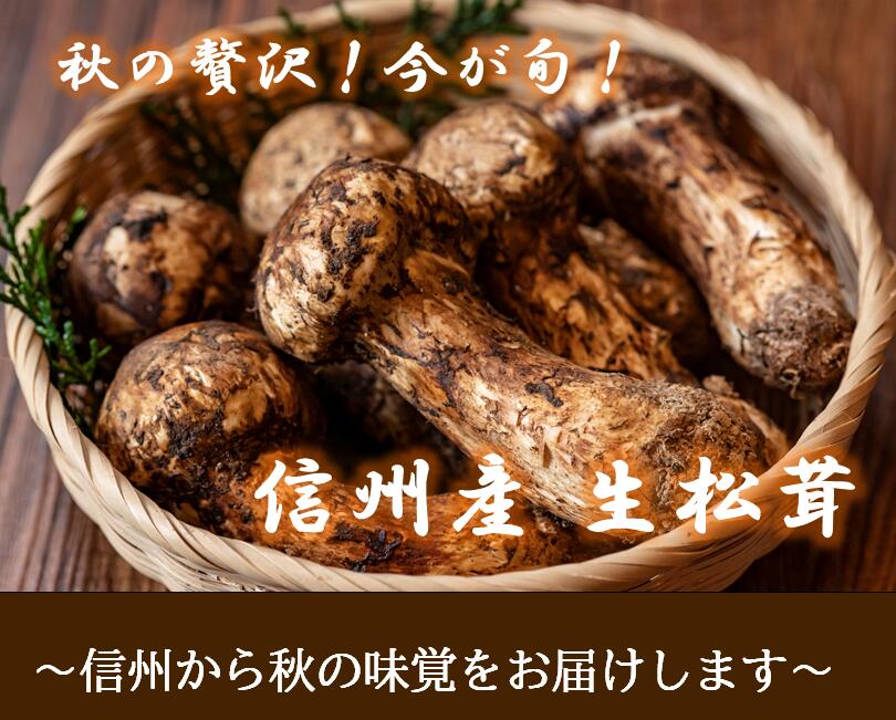 南信州産 天然松茸 185g 南信州産 天然松茸 185g 信州南相木産「天然