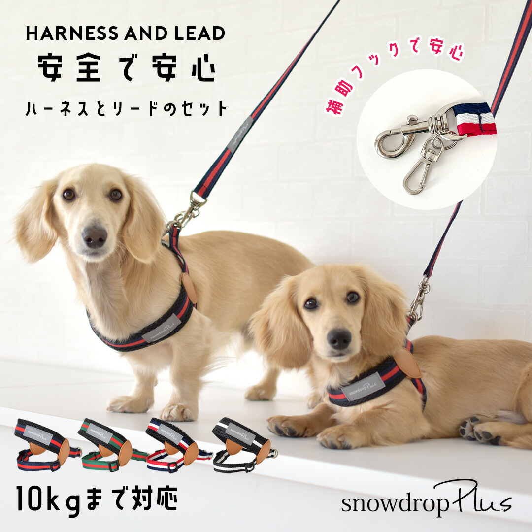 首輪・ハーネス・リード lihn0629 Hakusan]いろんなハーネス、首輪