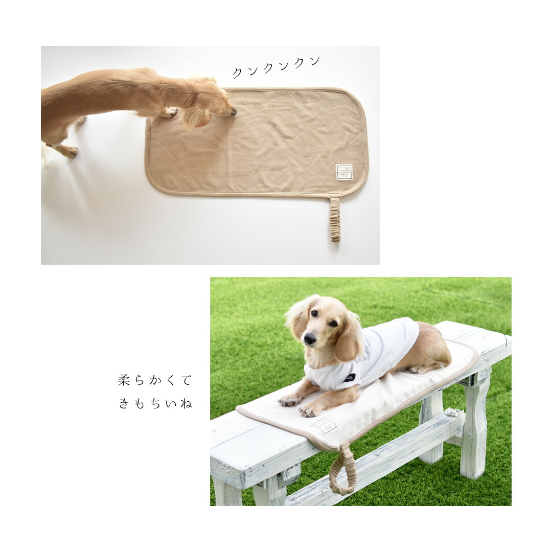 楽天市場】カフェマット ペット用 プリント名入れ マナー 敷物 カフェ