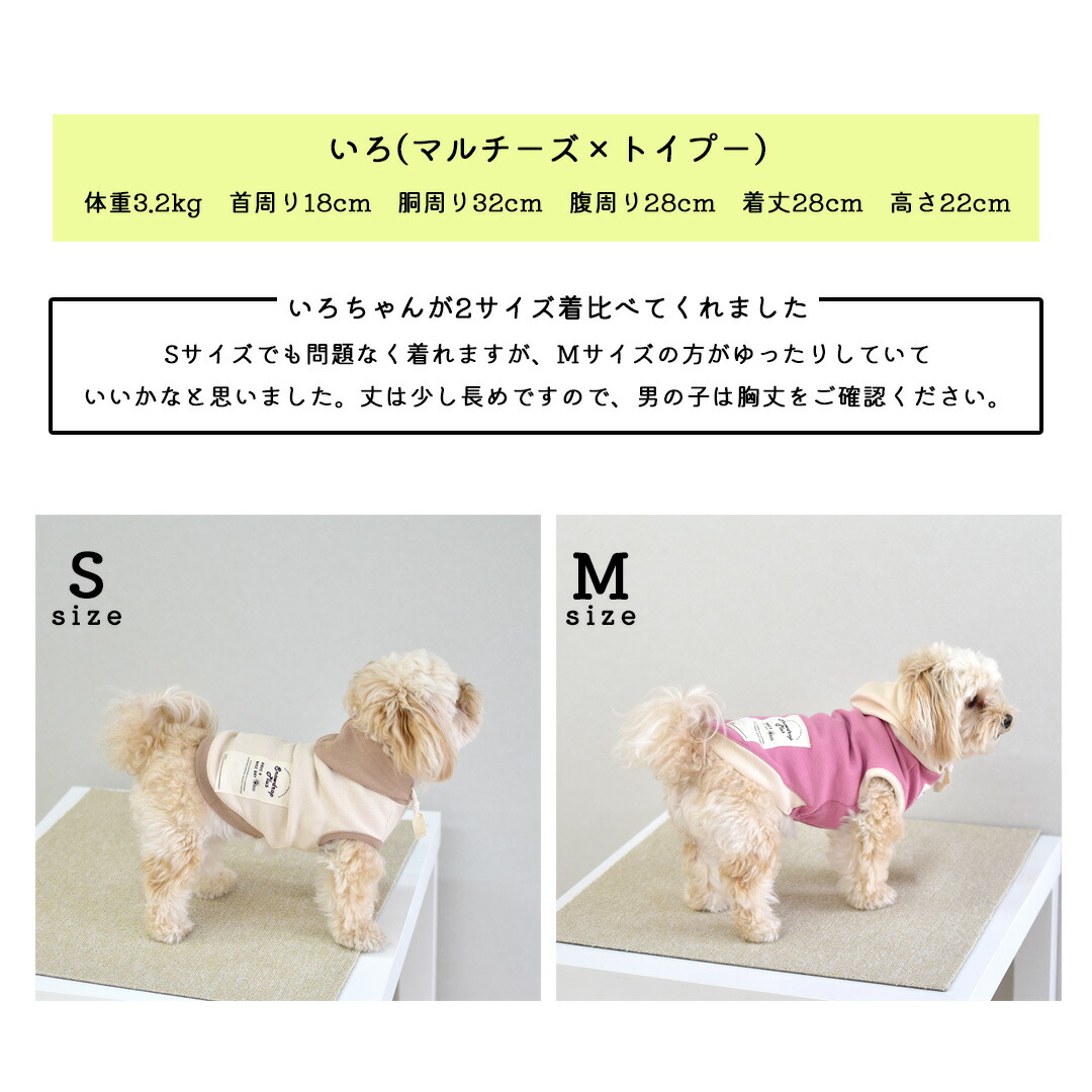 楽天市場】(在庫処分セールの為返品交換不可)パーカー タンクトップ