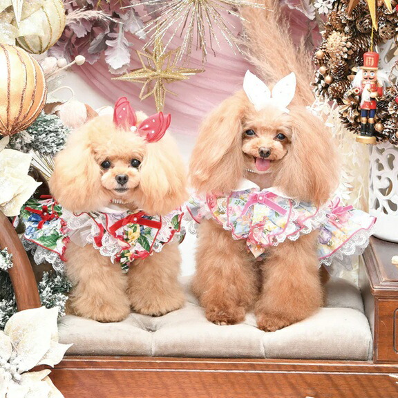 リュクスバーディ ラゥ゙ァンドワンピース Lサイズ 楽天市場】リュクス