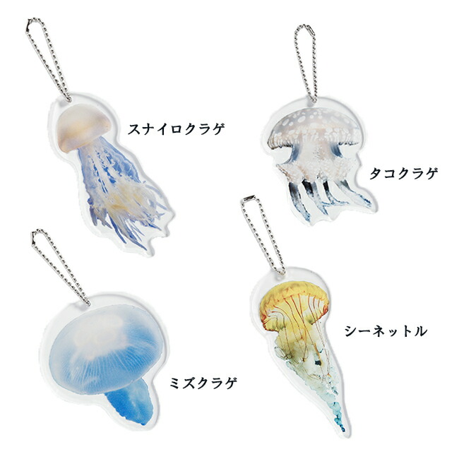 jellyfish01.jpg